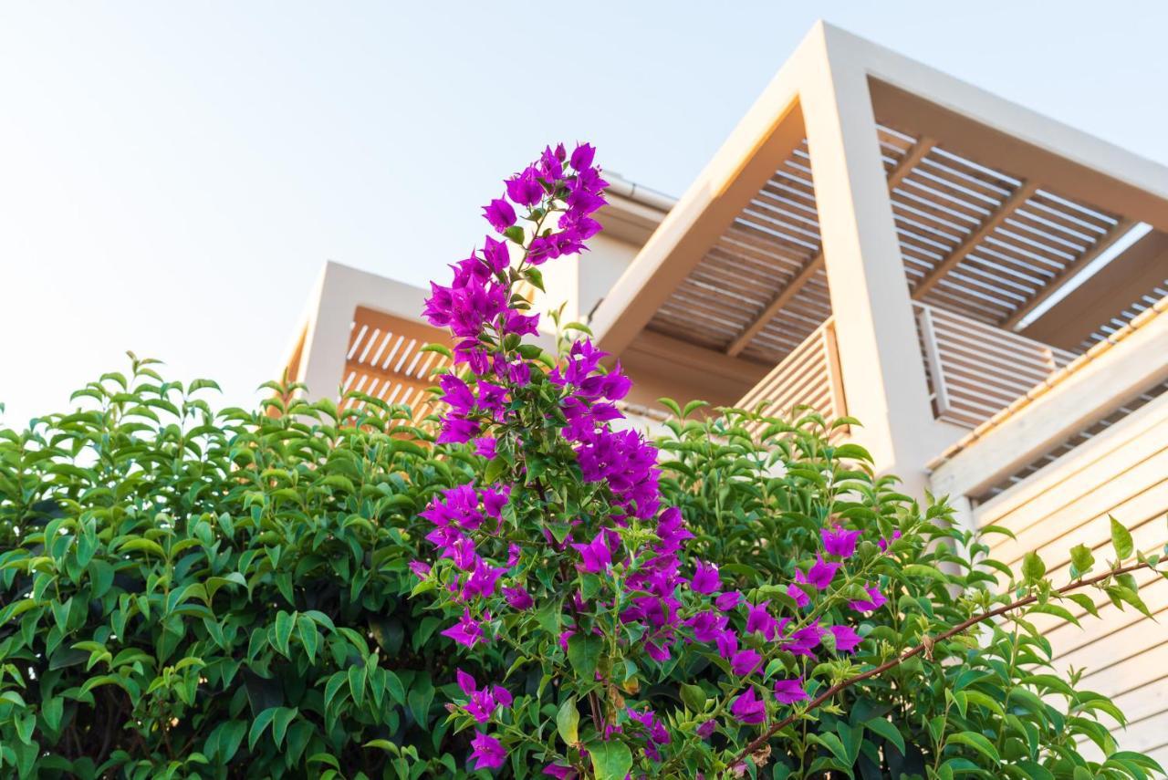 Aelia Home Suites Marathopoli Buitenkant foto